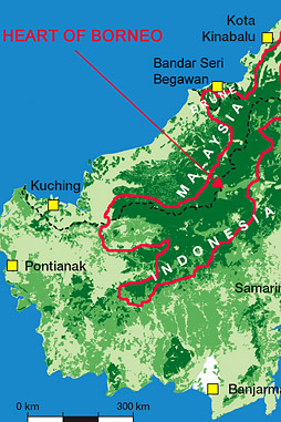 Peter Boyce Brunei interactive simpur