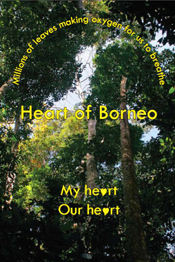 Boyce High Commission Brunei Heart Borneo