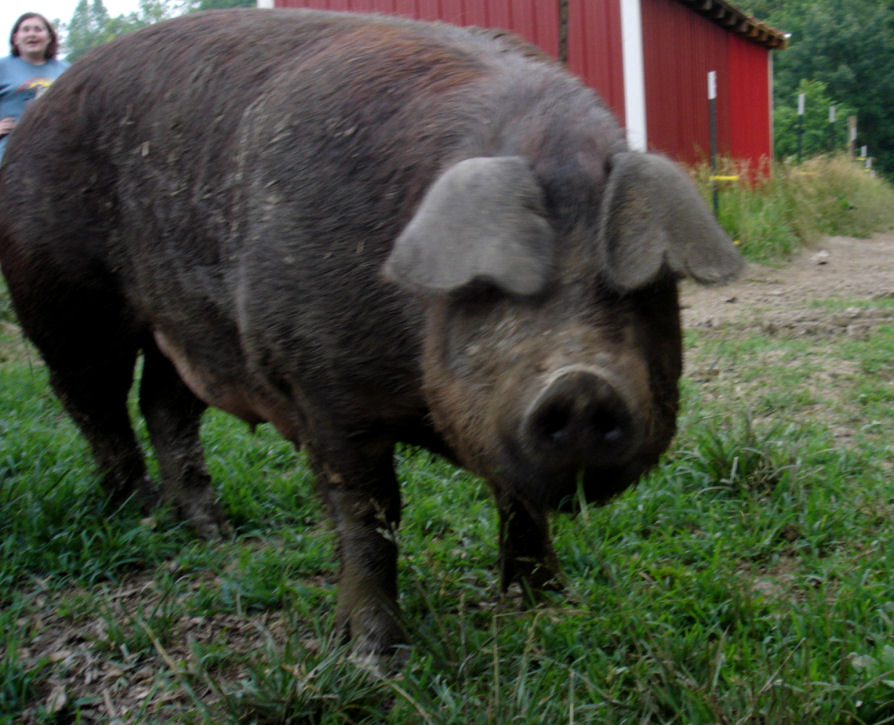 2011_MudPuddle.jpg