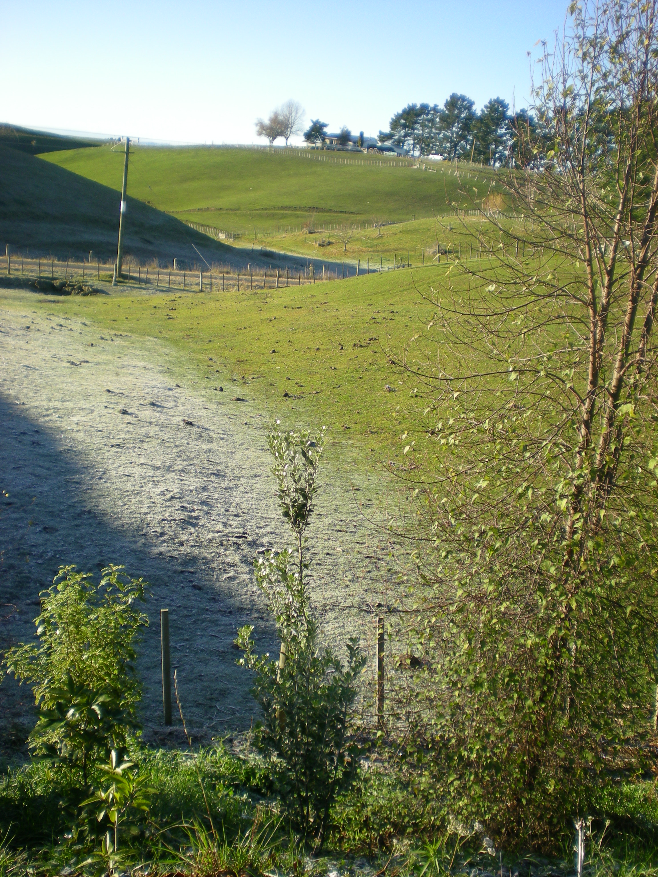 Frost_in_valley_Hill_clear.jpg Frost_in_valley_Hill_clear.jpg