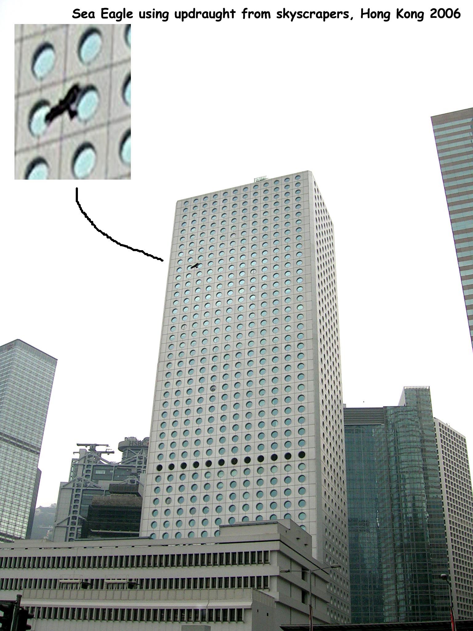 HONGKONG24.jpg HONGKONG24.jpg
