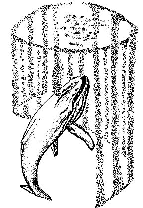 bubbles.gif bubbles.gif