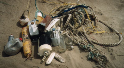 flotsam.jpg flotsam.jpg