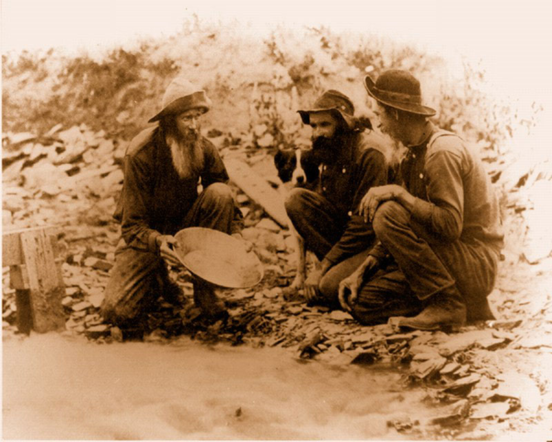 goldminers.jpg
