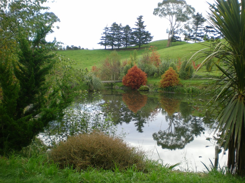 hernemere.jpg