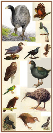 lostbirds.jpg