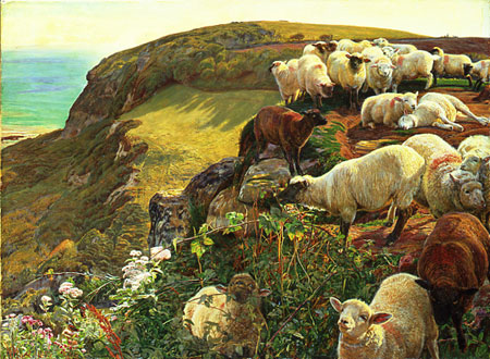 lostsheep.jpg lostsheep.jpg
