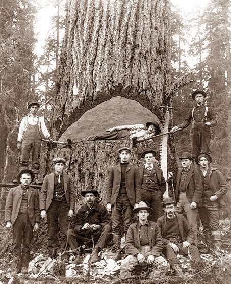 lumberjacks.jpg