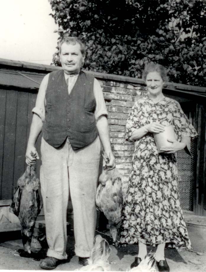 twodeadhens.jpg twodeadhens.jpg