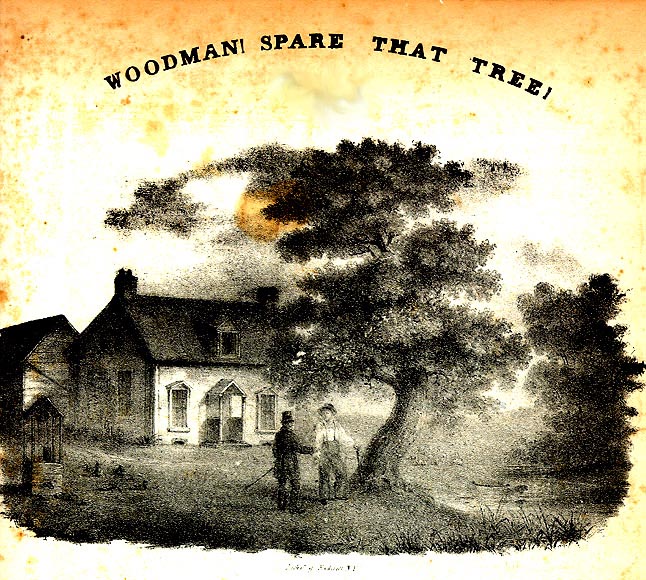 woodmanspare.jpg